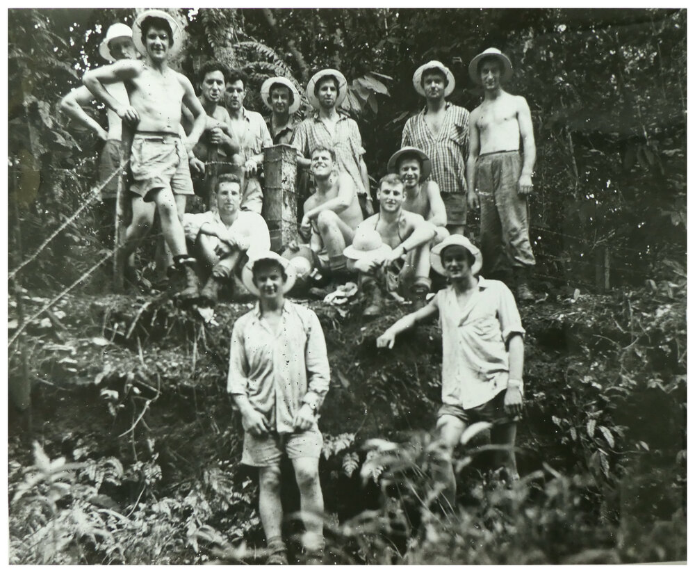 Volunteers Build Fence In New Hebrides Jungle