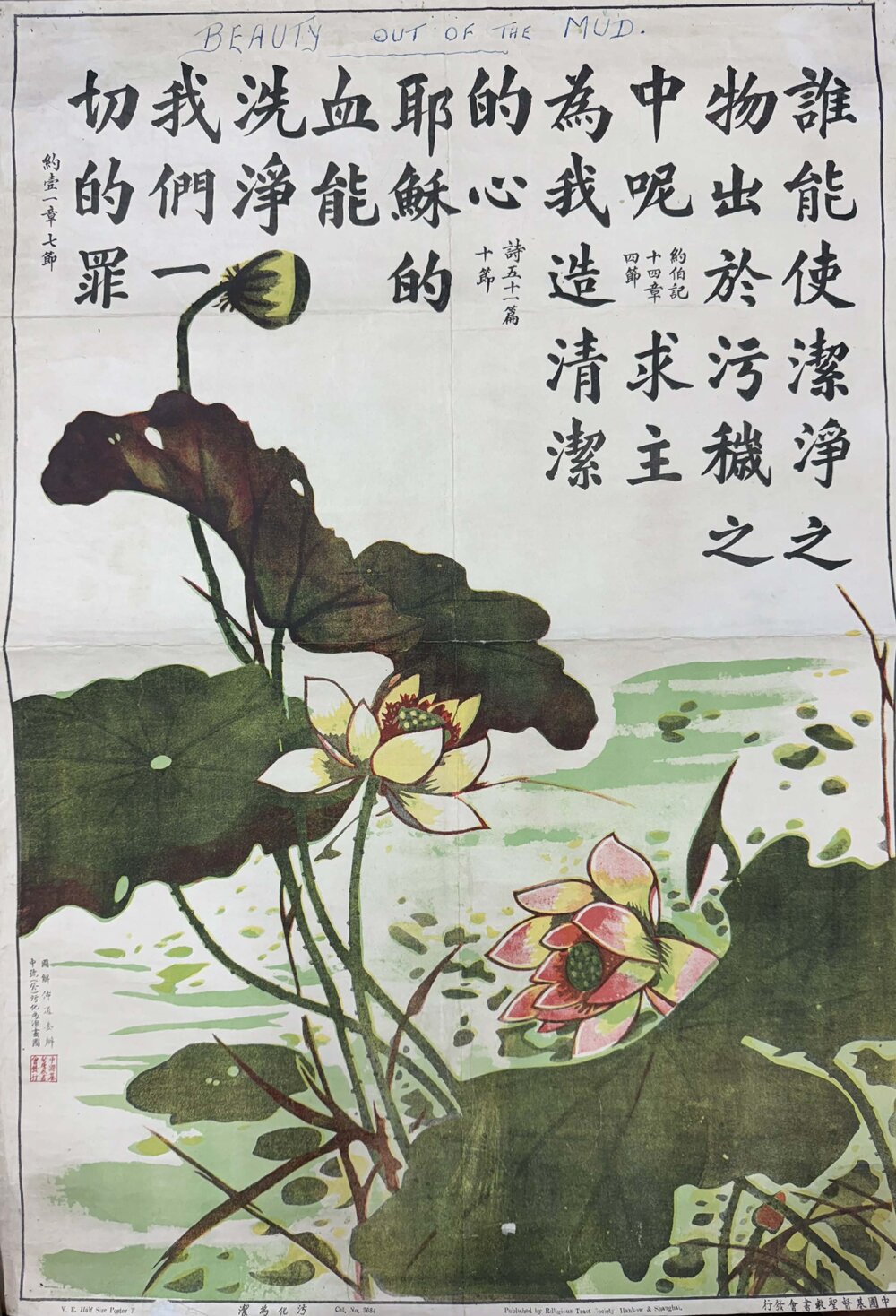 The Lotus 污化為潔