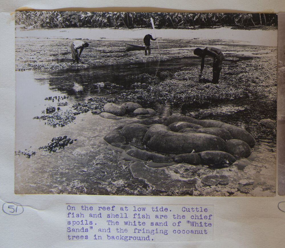 On The Reef at Low Tide