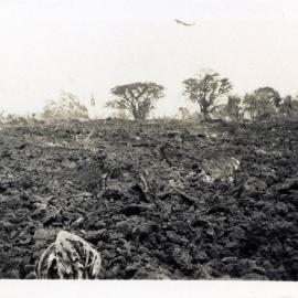 The Ambrym eruption