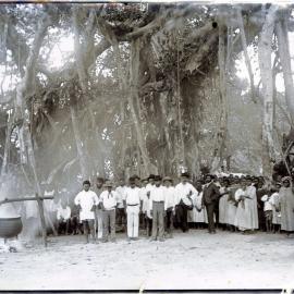 Under the Banyan tree, Nguna