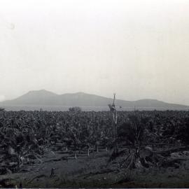 Nguna Island
