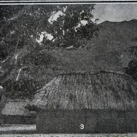 Mr. Milne's hut on Mataso