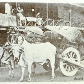 Bullock cart