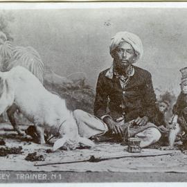 Monkey trainer