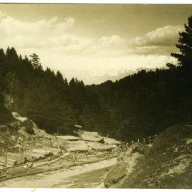 Timberworks near Dalhousie
