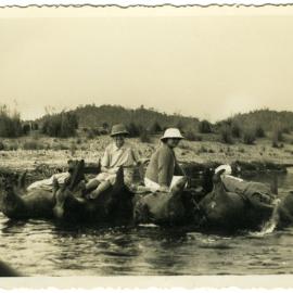 Hide float barge