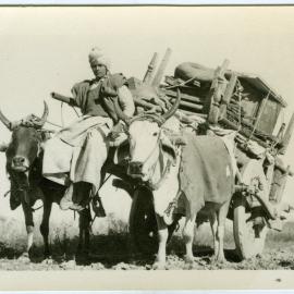 Oxen and cart carrying furniture 