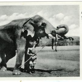 Elephant and trainer