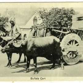 Buffalo cart