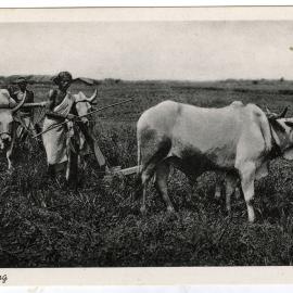 "Ploughing"