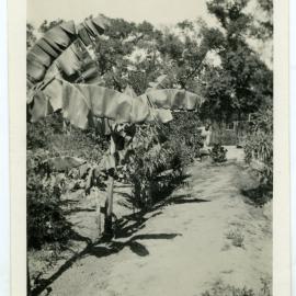 "A corner of our garden"