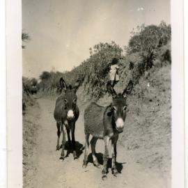 Donkeys on a track