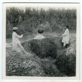 Irrigating the fields