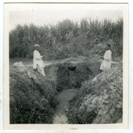 Irrigating the fields 