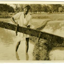 A plank the farmer uses to stir up the mud