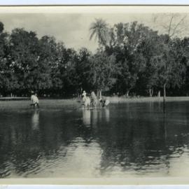 A flooded rice field 