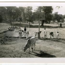 Hoeing ground