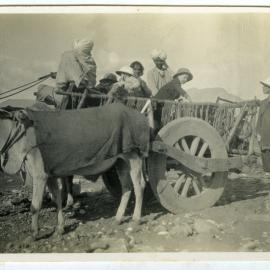 Travelling by bullock wagon