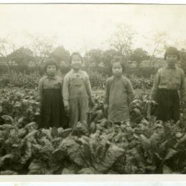 Kong Cheun Orphanage vegetable garden