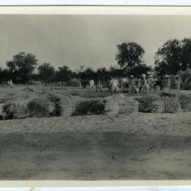 The threshing floor