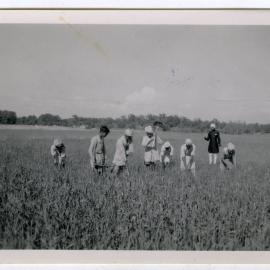 "At work on the school farm," Kharar Boys' High School