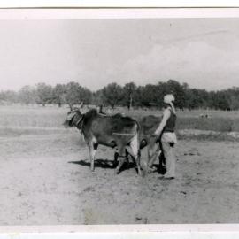 "Learning to plough," Kharar Boys' High School