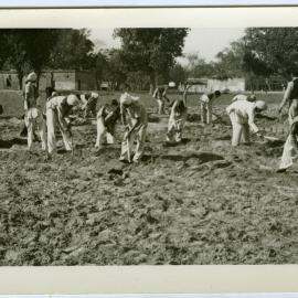 Hoeing ground, Kharar Boys' High School