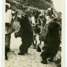 Performing bears