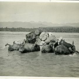 Hide Float Barge.