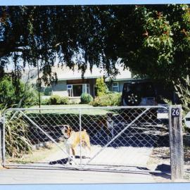 Cromwell manse with dogs