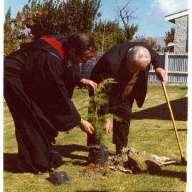 Tree planting ceremony, Cromwell Church