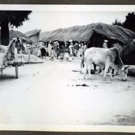"The Christian Houses - Milah"