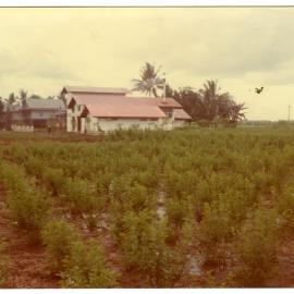 Tajuncu Ranch