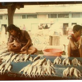 Fish Stall at the Rantepao Market