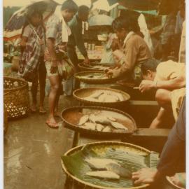 Selling Live Fish at the Rantepao Market