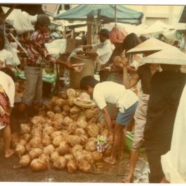A Coconut Stall at the Rantepao Market