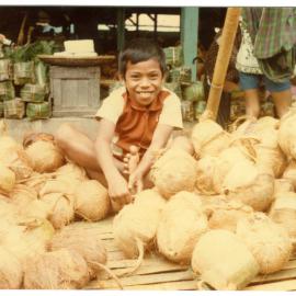 A Coconut Stall at the Rantepao Market