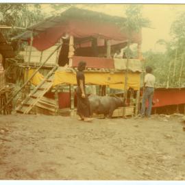 One of the Temporary Buildings at "pesta"
