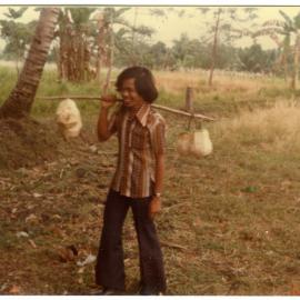 Andarias Carrying Coconuts
