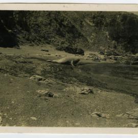Tramp to Pencarrow - December 1949