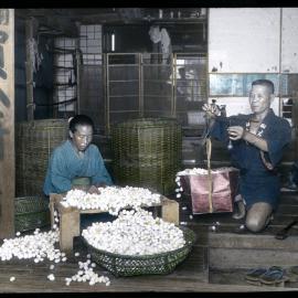 "Cocoons purchased and inspected"