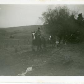 Horses puddling mud