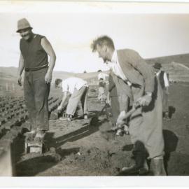 Forming and laying out mud bricks