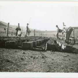 Rows of drying mud bricks