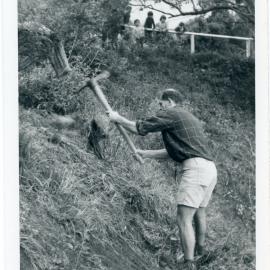 Wadestown Parish Working Bee