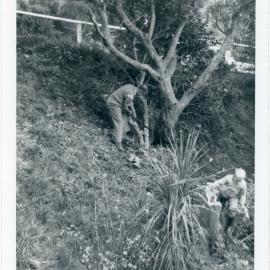 Wadestown Church Working Bee