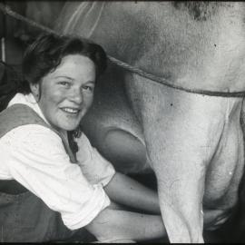 Young Woman Milking a Cow