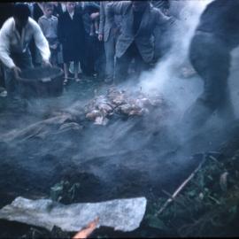 Hāngī in Celebration of the PFZ Visit to New Zealand