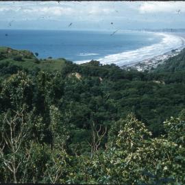 Ohope - Top of the Road